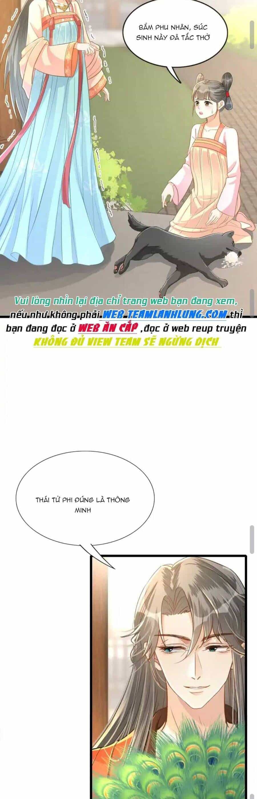 Thái Tử Phi Thế Thân - Chương 3 - ảnh 18