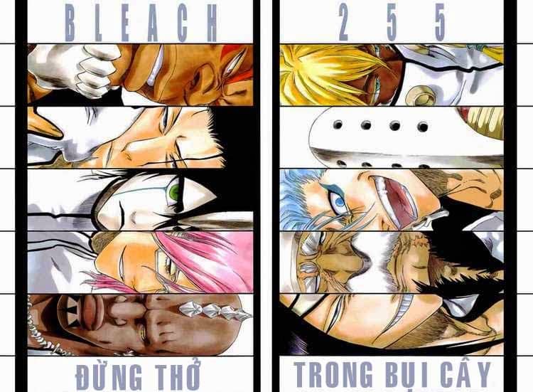 Thần Chết Ichigo - Chương 255 - ảnh 2