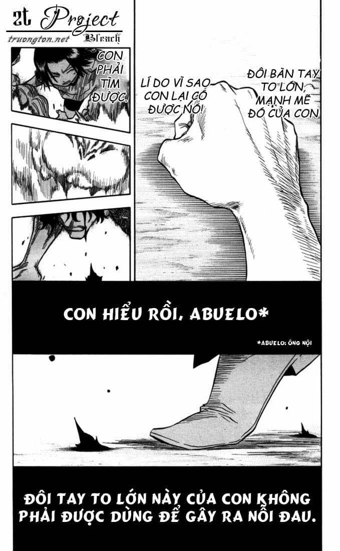 Thần Chết Ichigo - Chương 39 - ảnh 15