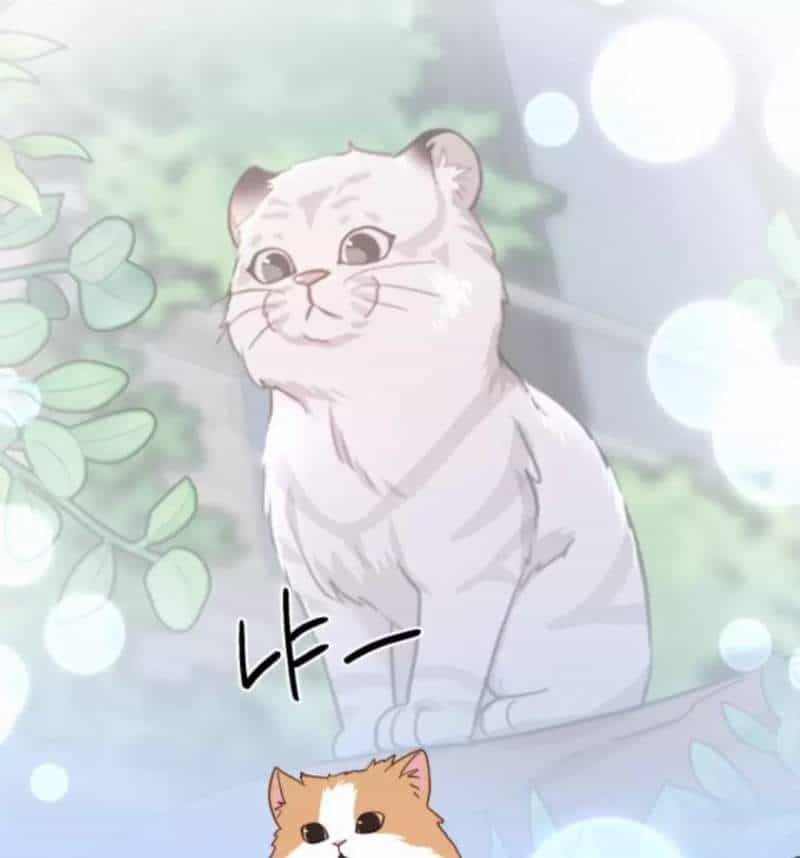 Thần Hổ Jangsan - Chương 50 - ảnh 200