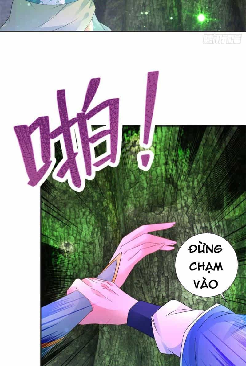 Thần Hồn Võ Đế - Chương 243 - ảnh 2