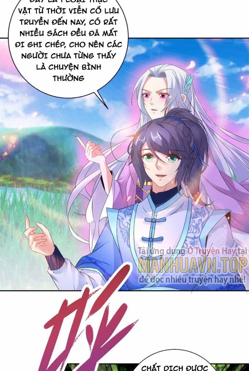 Thần Hồn Võ Đế - Chương 243 - ảnh 5