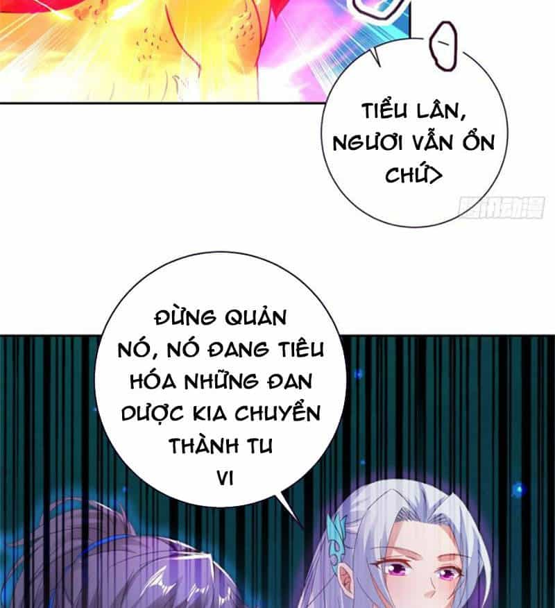 Thần Hồn Võ Đế - Chương 246 - ảnh 10
