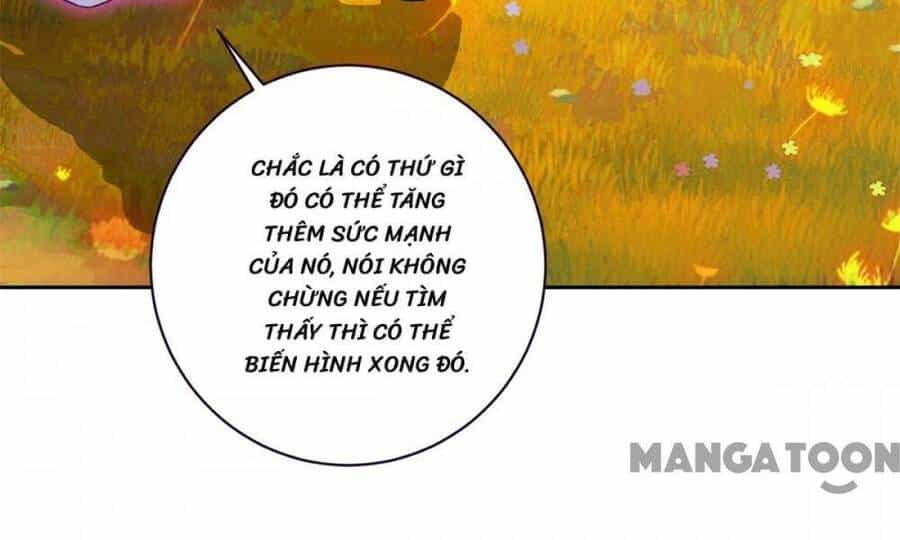 Thần Hồn Võ Đế - Chương 284 - ảnh 20