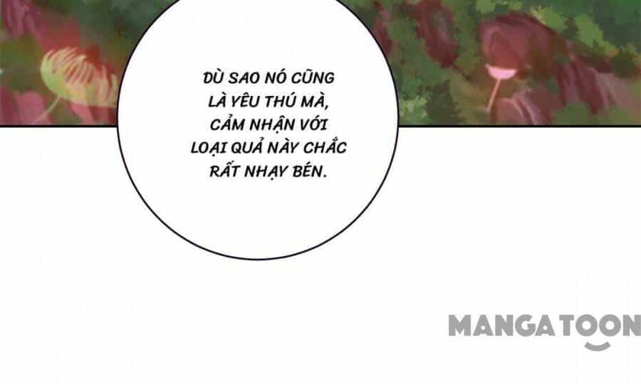 Thần Hồn Võ Đế - Chương 284 - ảnh 28