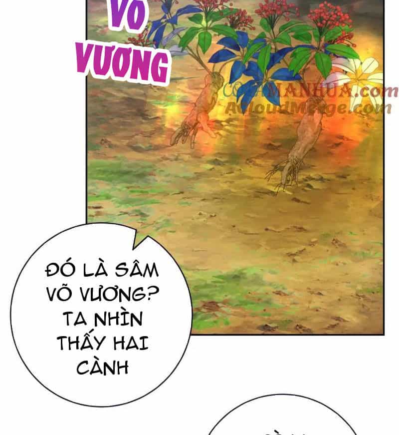 Thần Hồn Võ Đế - Chương 374 - ảnh 25