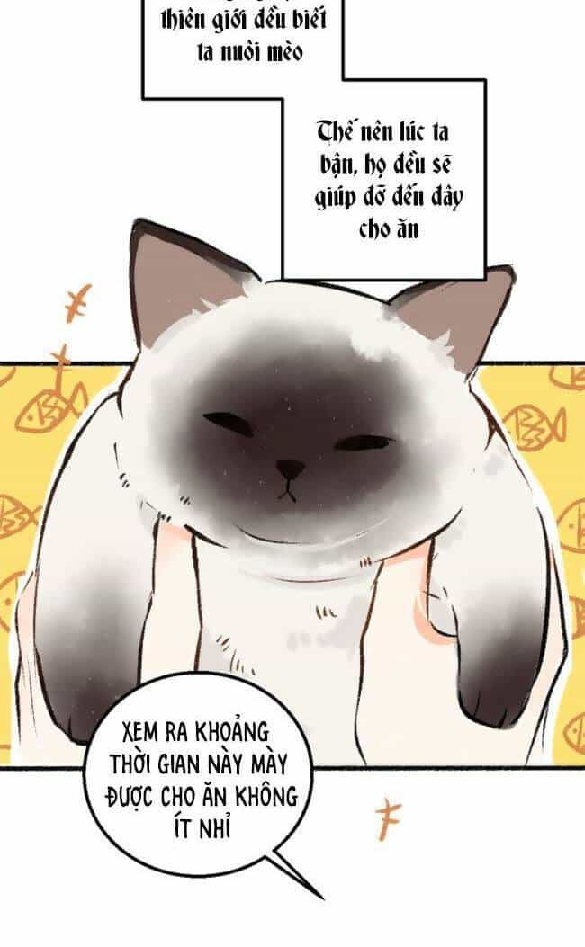 Thần Ơi, Mời Ăn Cơm! - Chương 1 - ảnh 20