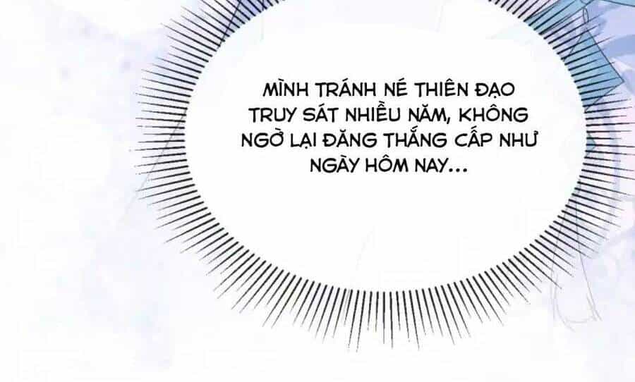 Thần Phi Ngự Thiên Hạ - Chương 1 - ảnh 7