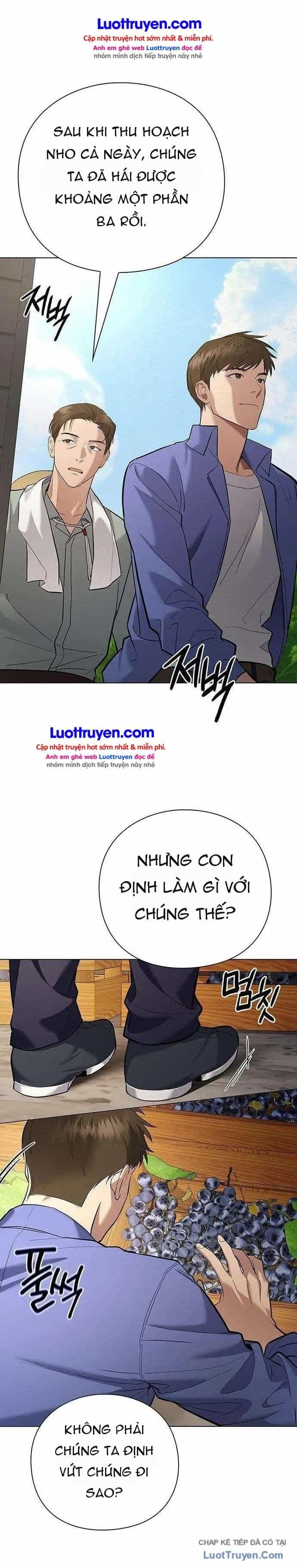 Thần Rượu Vang - Chương 4 - ảnh 13