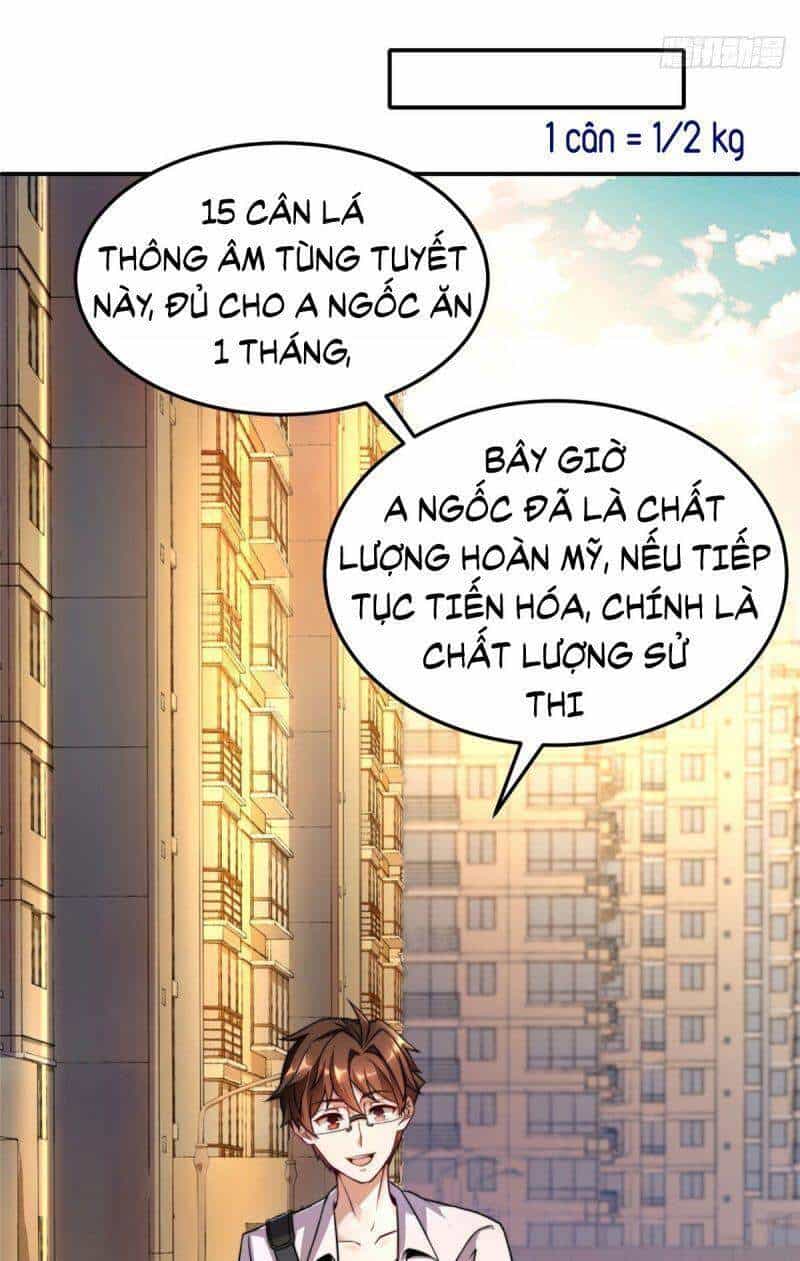 Thần Sủng Tiến Hóa - Chương 12 - ảnh 12