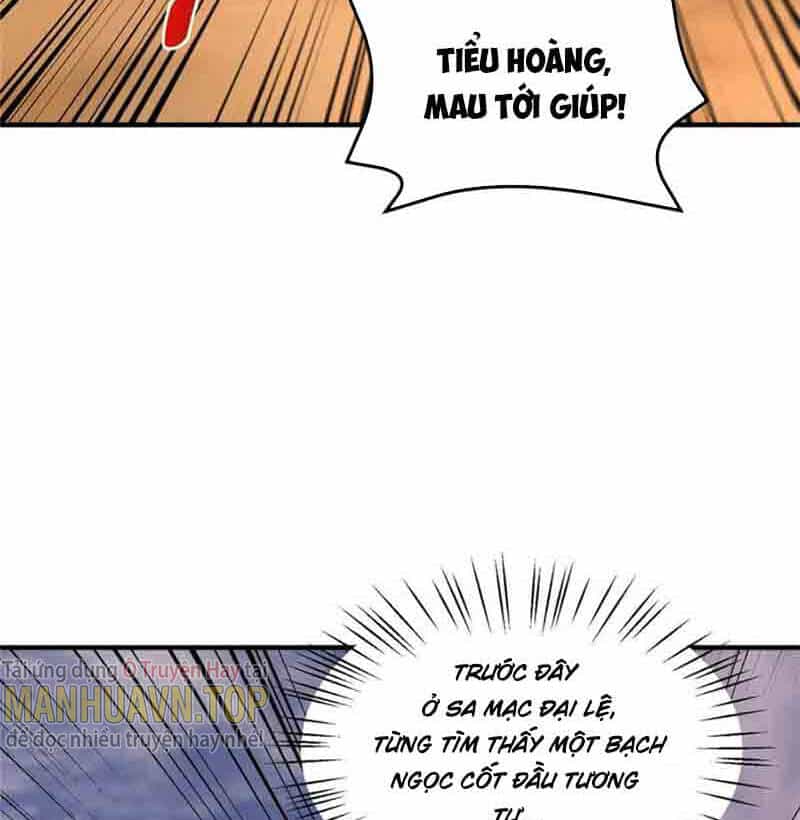 Thần Sủng Tiến Hóa - Chương 156 - ảnh 1