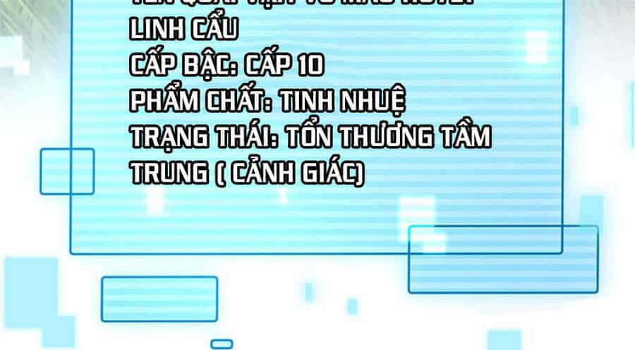Thần Sủng Tiến Hóa - Chương 21 - ảnh 16