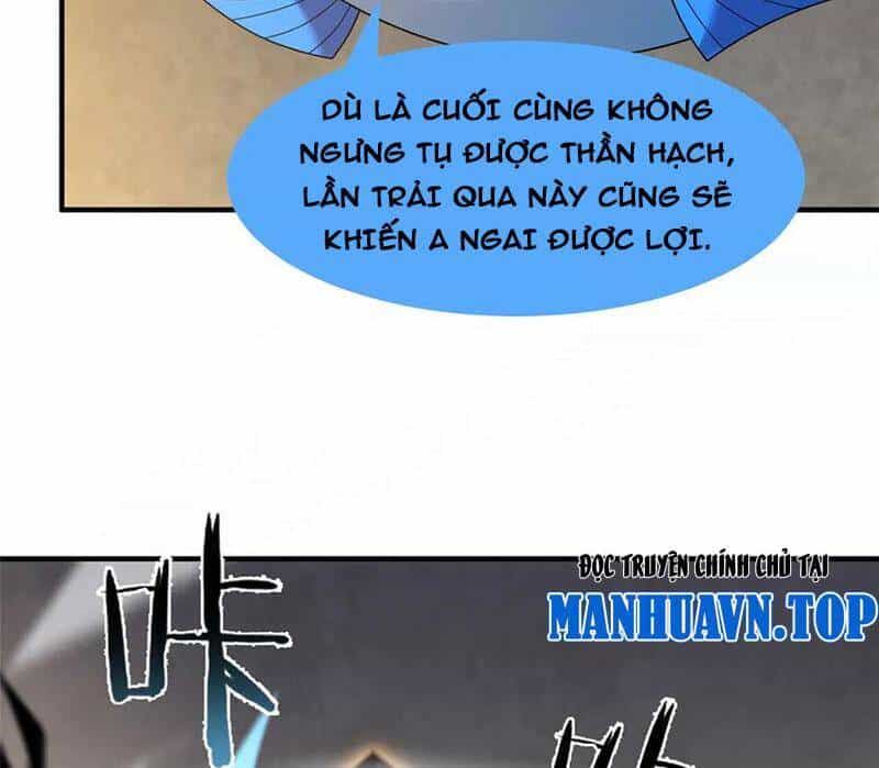 Thần Sủng Tiến Hóa - Chương 330 - ảnh 24