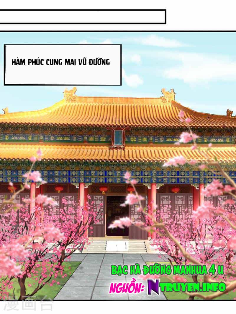 Thanh Cung Chi Ninh Mặc Vô Thanh - Chương 23 - ảnh 1