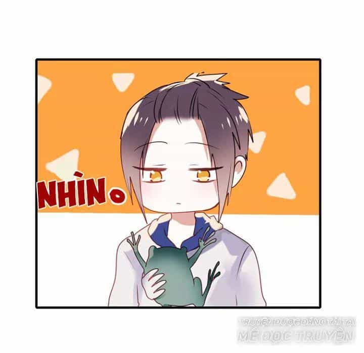 Thành Dã Tiêu Hà - Chương 8 - ảnh 7