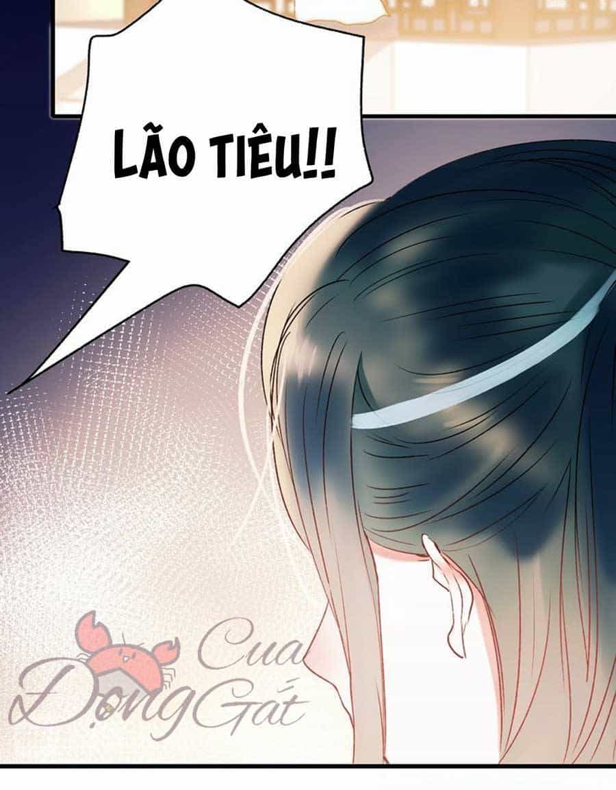 Thành Dã Tiêu Hà - Chương 31 - ảnh 36