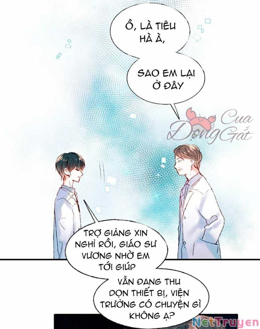 Thành Dã Tiêu Hà - Chương 42 - ảnh 7