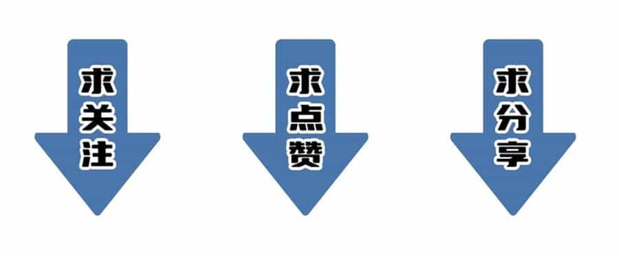 Thánh Hiệp Sĩ Cấp Sss - Chương 21 - ảnh 60