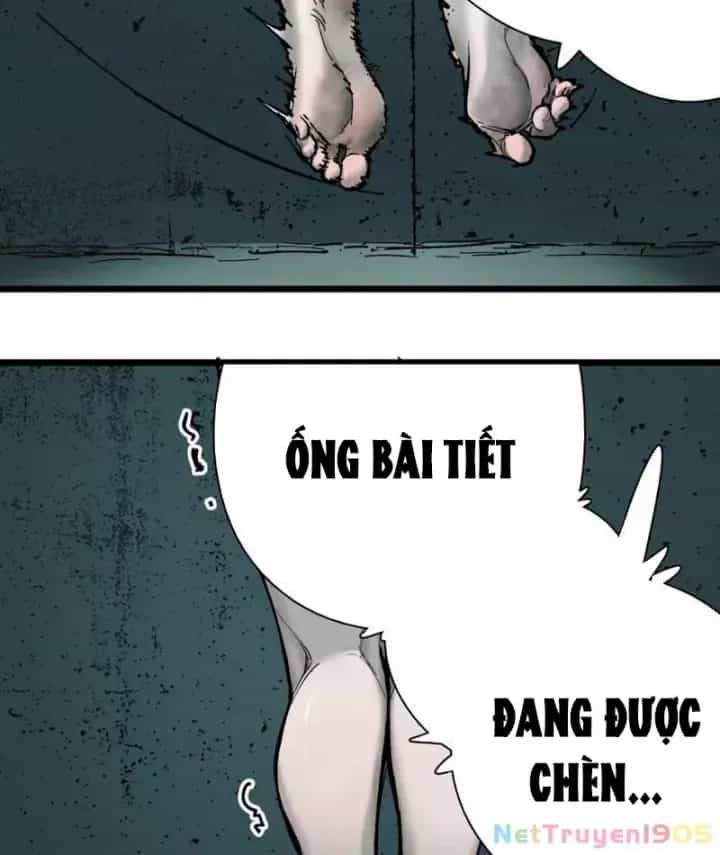 Thánh Huyết - Chương 1 - ảnh 21
