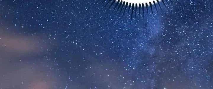 Thành Tựu Của Ta Rất Nhiều - Chương 115 - ảnh 146