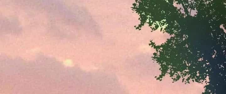 Thành Tựu Của Ta Rất Nhiều - Chương 169 - ảnh 163