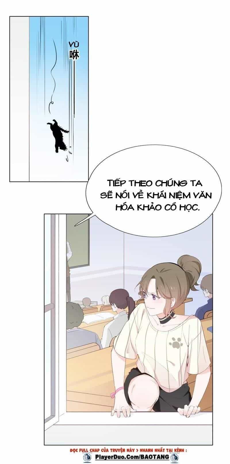 Thập Nhị Hắc Miêu - Chương 1 - ảnh 16