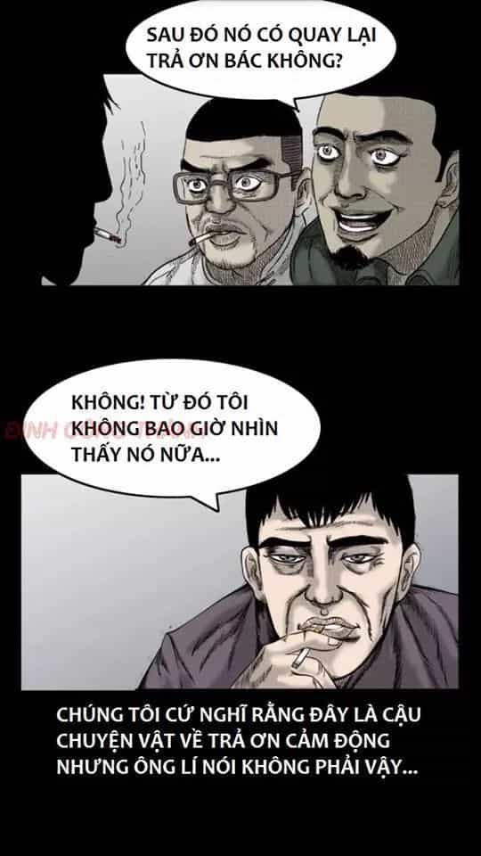 Thầy Súng Kể Chuyện Ma - Chương 36 - ảnh 10