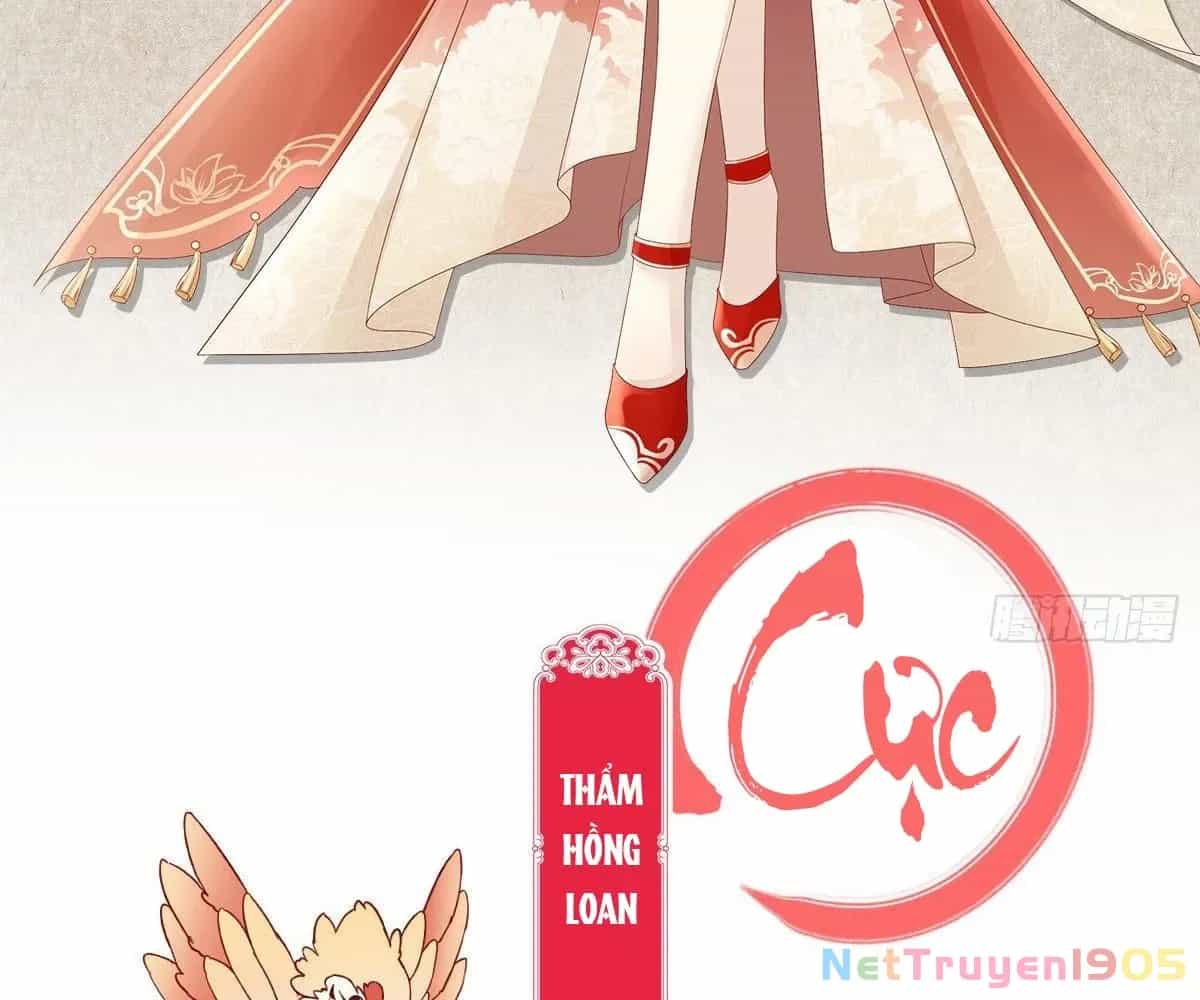 Thê Chủ, Thỉnh Hưởng Dụng - Chương 0 - ảnh 14