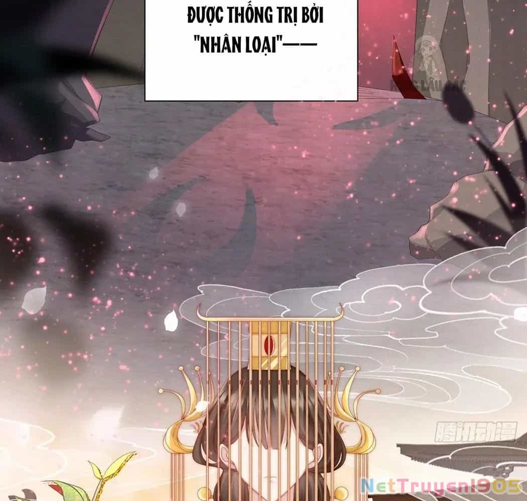 Thê Chủ, Thỉnh Hưởng Dụng - Chương 1 - ảnh 10