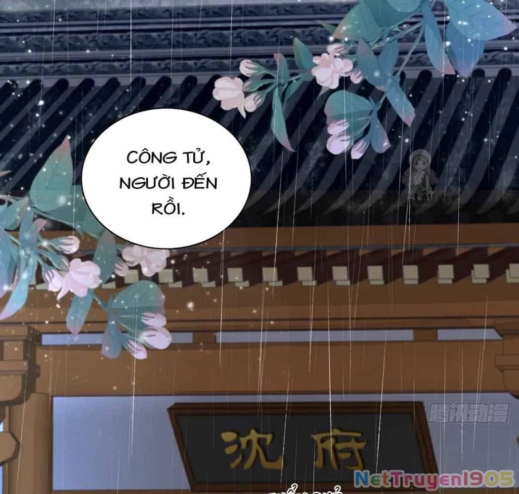Thê Chủ, Thỉnh Hưởng Dụng - Chương 1 - ảnh 65