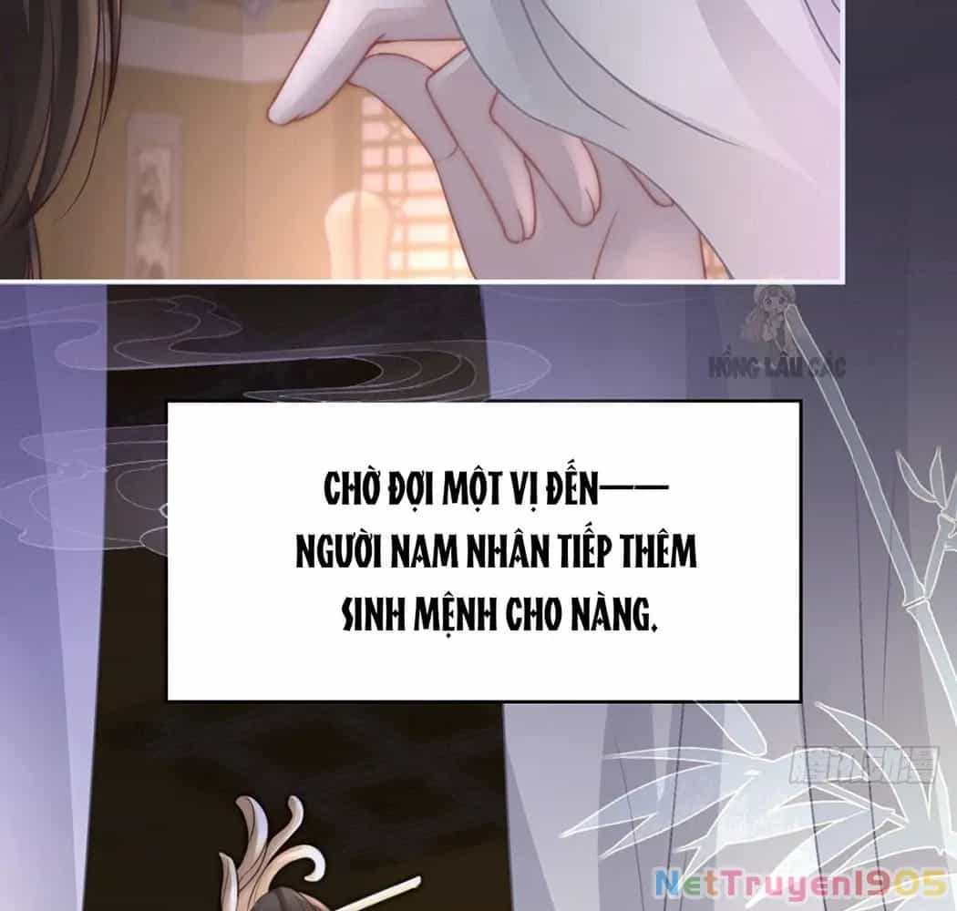 Thê Chủ, Thỉnh Hưởng Dụng - Chương 1 - ảnh 85