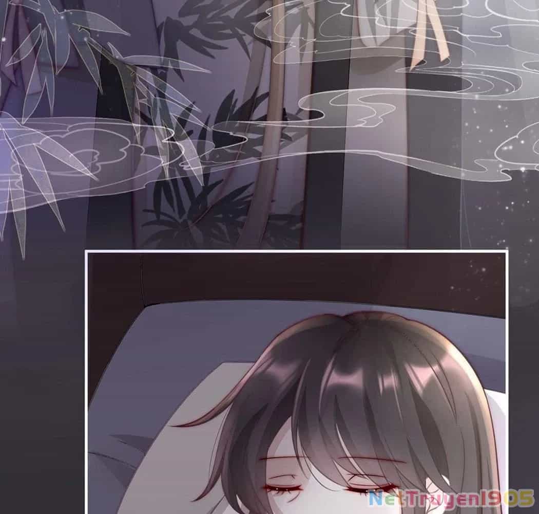 Thê Chủ, Thỉnh Hưởng Dụng - Chương 1 - ảnh 89