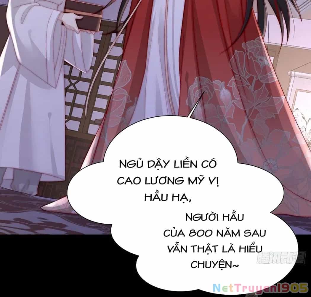 Thê Chủ, Thỉnh Hưởng Dụng - Chương 2 - ảnh 55