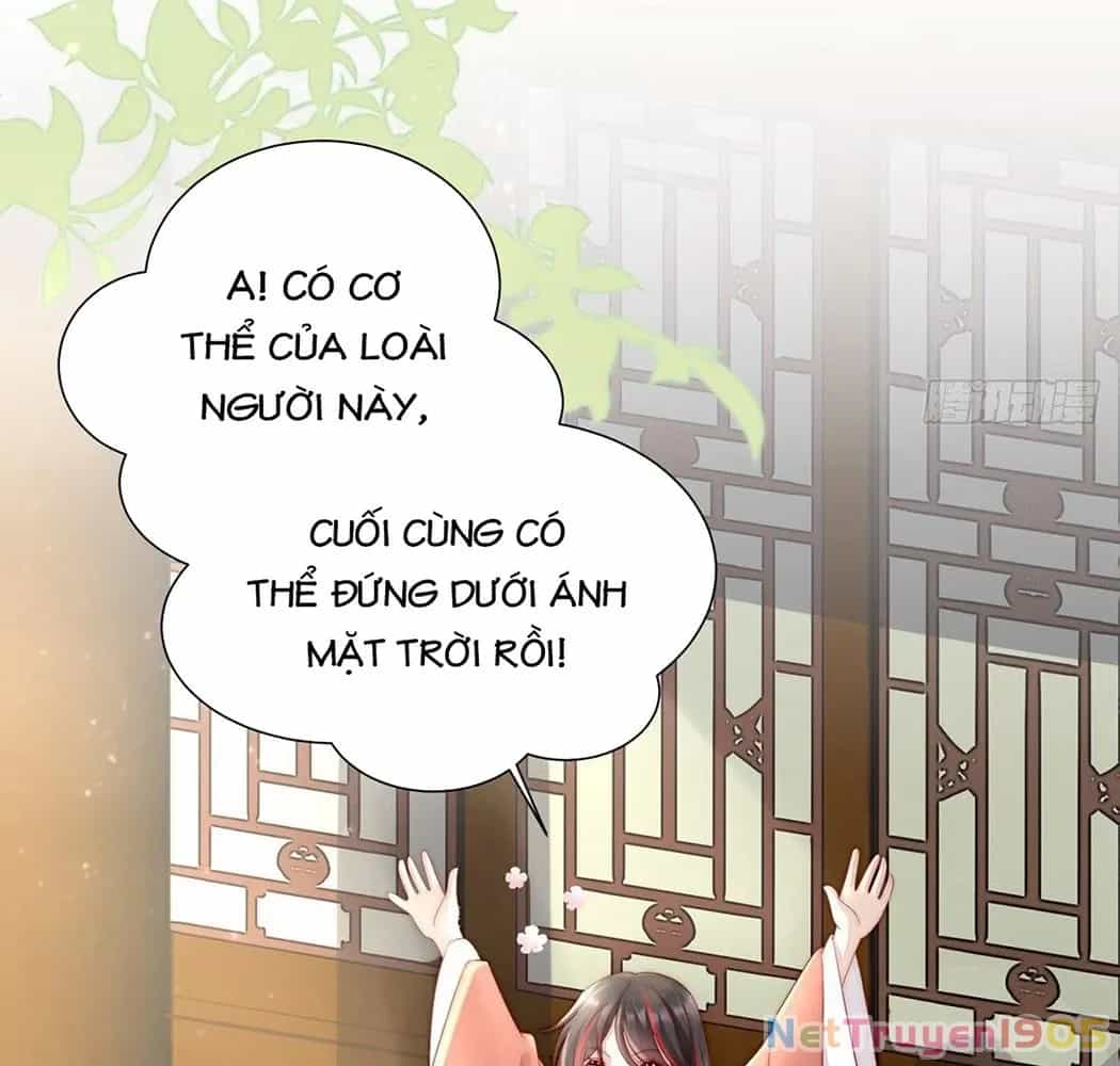 Thê Chủ, Thỉnh Hưởng Dụng - Chương 2 - ảnh 65