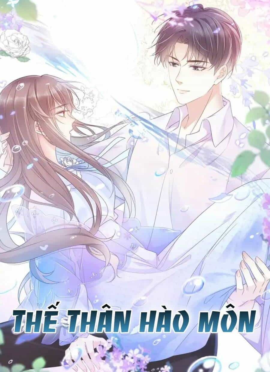 Thế Thân Hào Môn - Chương 3 - ảnh 1