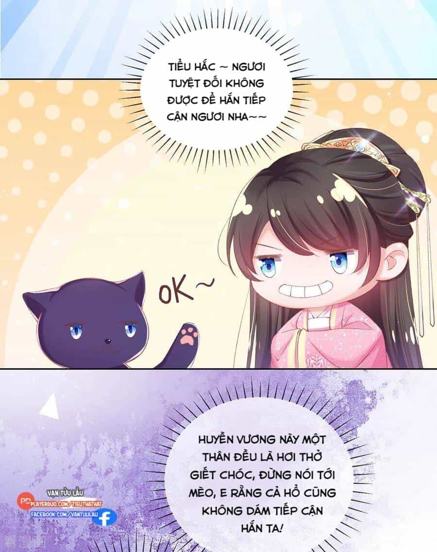 Thị Huyết Y Phi - Chương 104 - ảnh 12