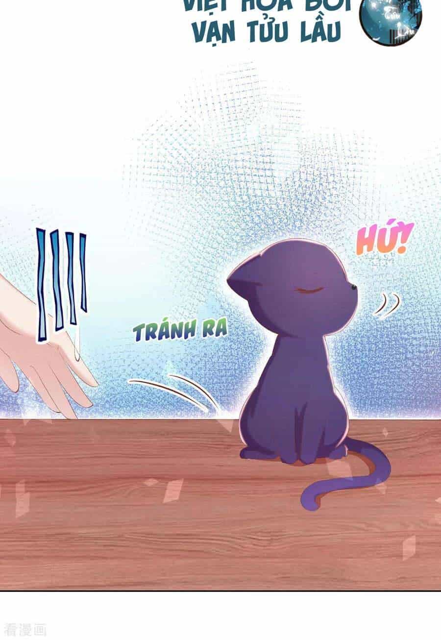 Thị Huyết Y Phi - Chương 105 - ảnh 4
