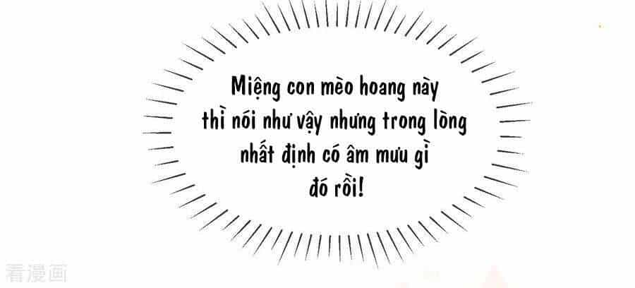 Thị Huyết Y Phi - Chương 106 - ảnh 4