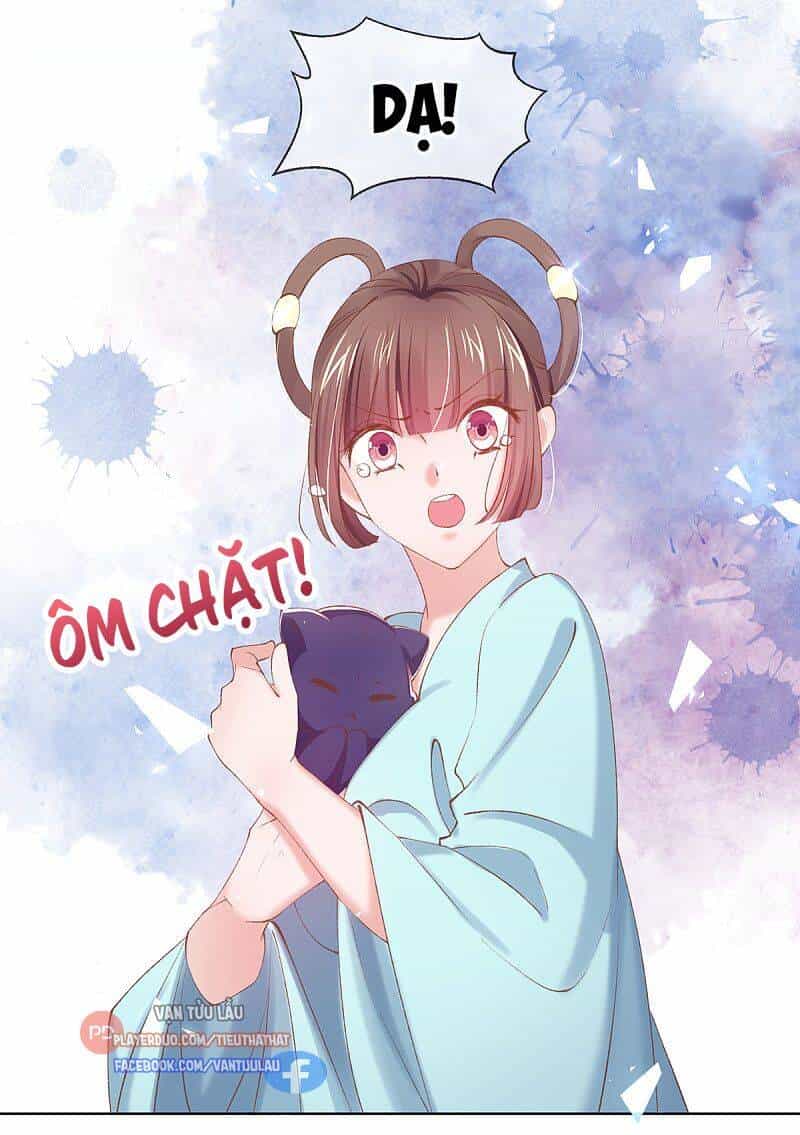 Thị Huyết Y Phi - Chương 107 - ảnh 14