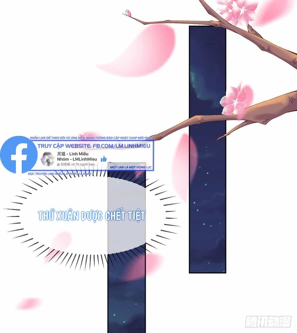 Thị Huyết Y Phi - Chương 11 - ảnh 4
