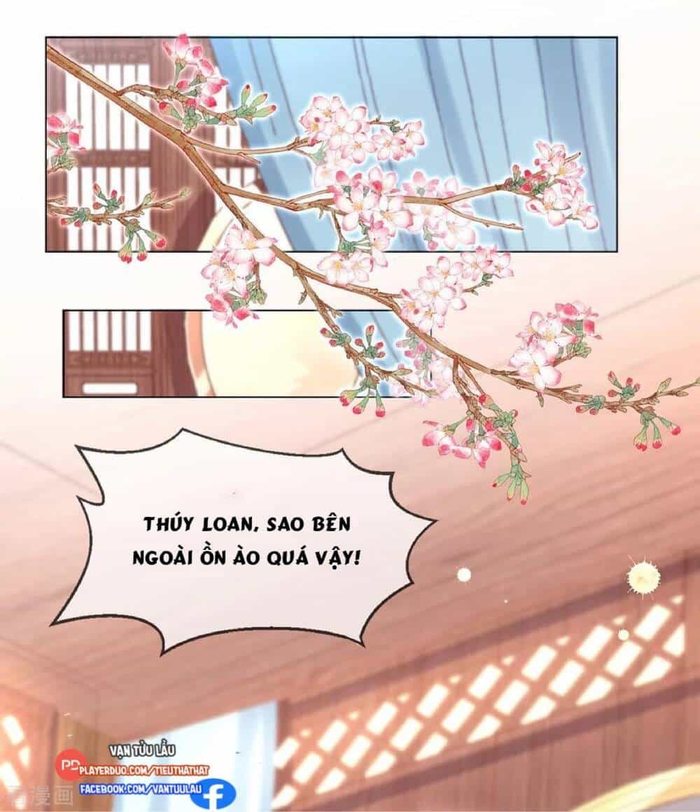 Thị Huyết Y Phi - Chương 111 - ảnh 11