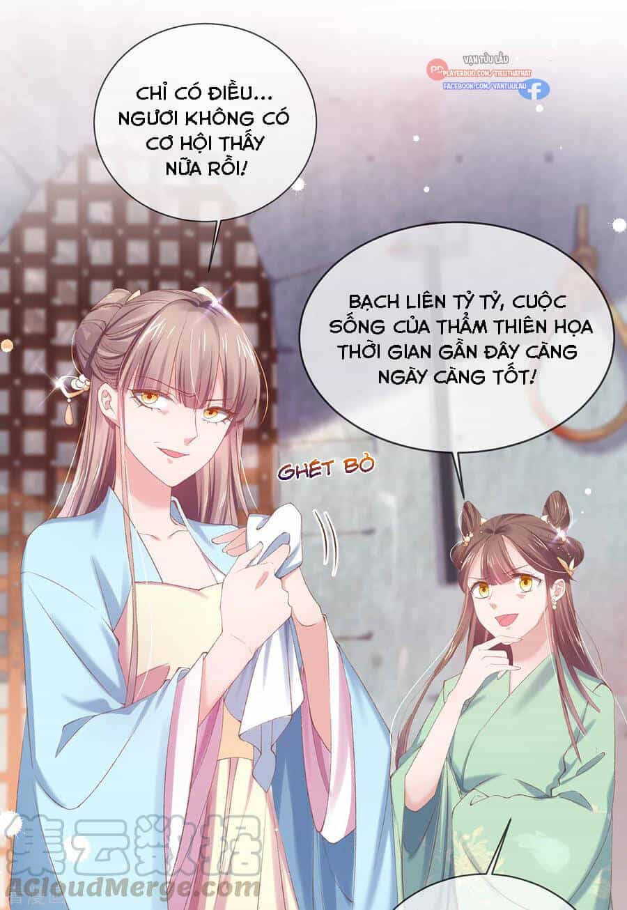 Thị Huyết Y Phi - Chương 123 - ảnh 34