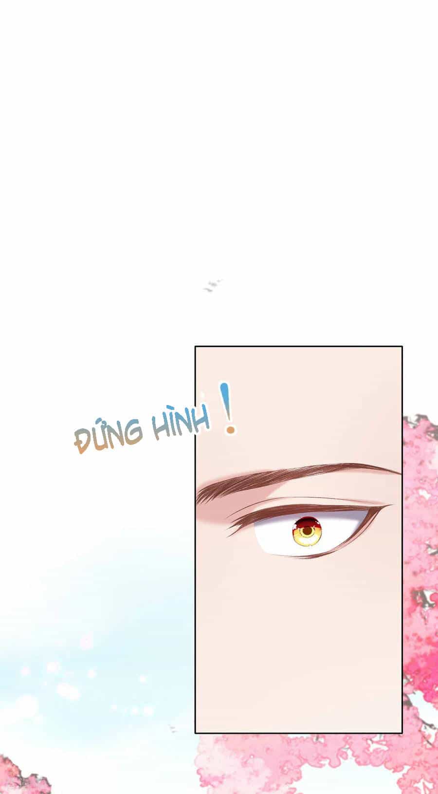 Thị Huyết Y Phi - Chương 124 - ảnh 27