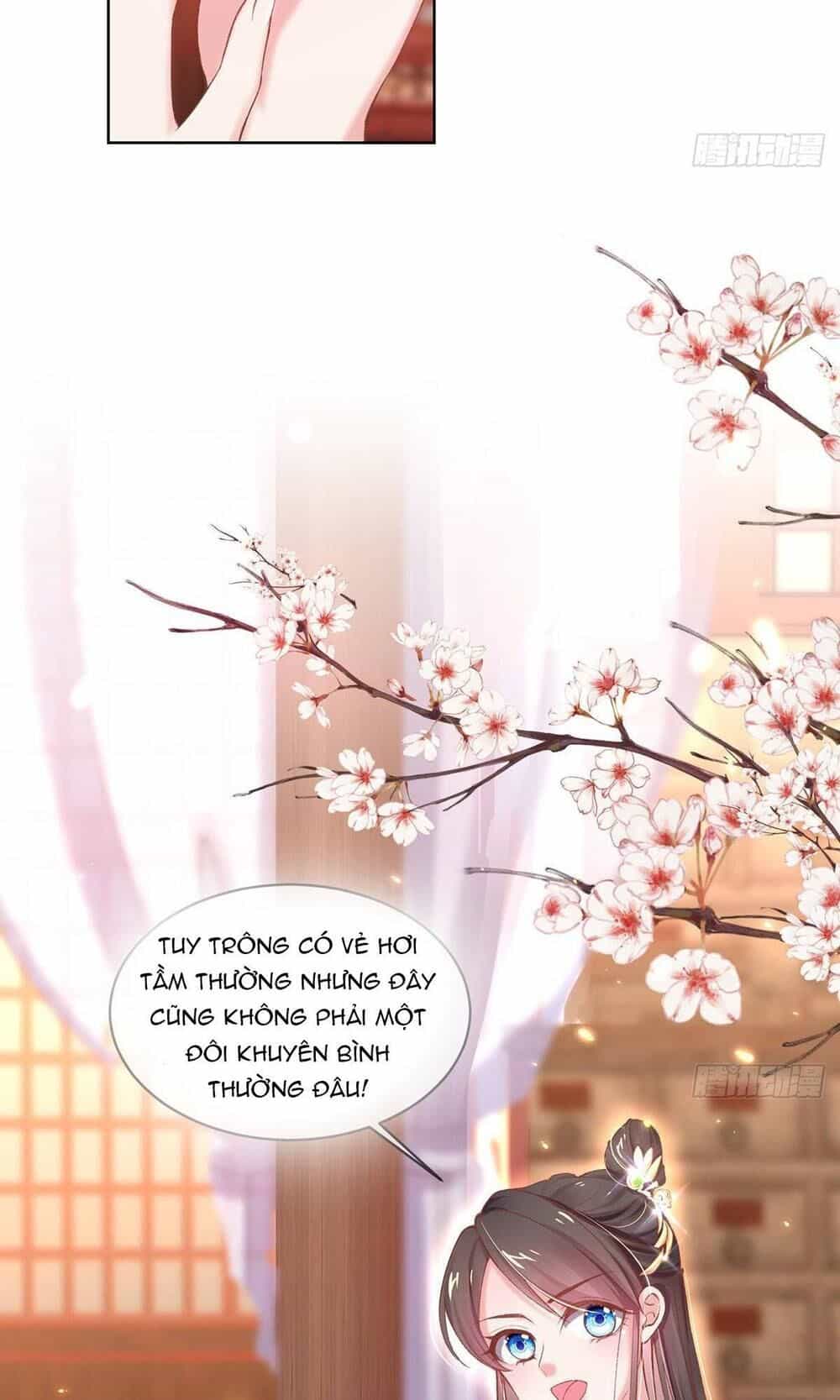 Thị Huyết Y Phi - Chương 27 - ảnh 18