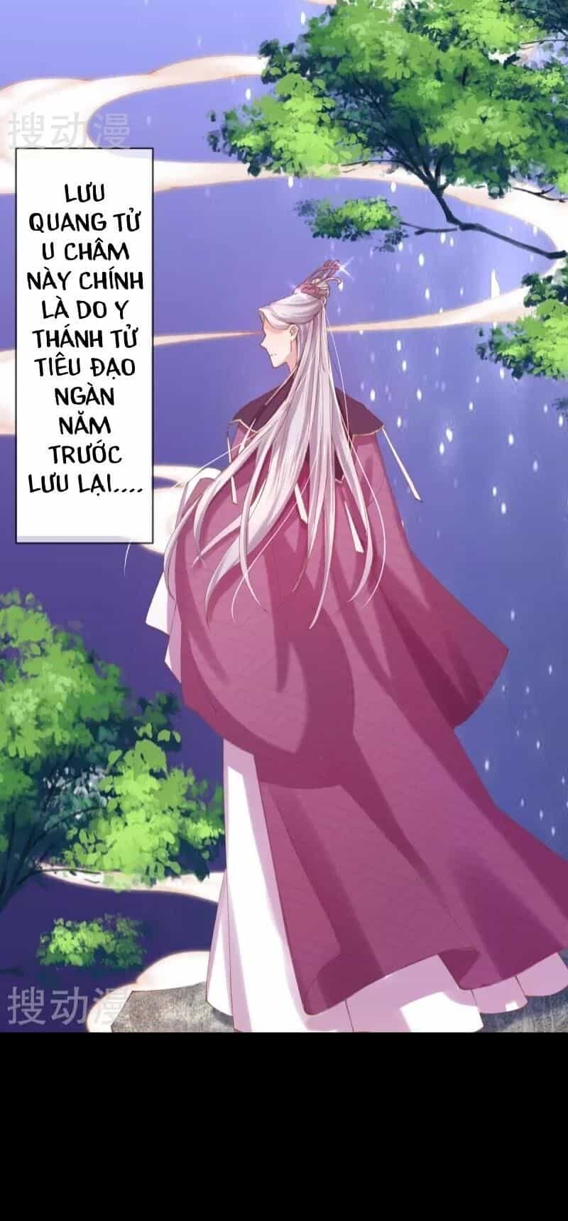 Thị Huyết Y Phi - Chương 33 - ảnh 14