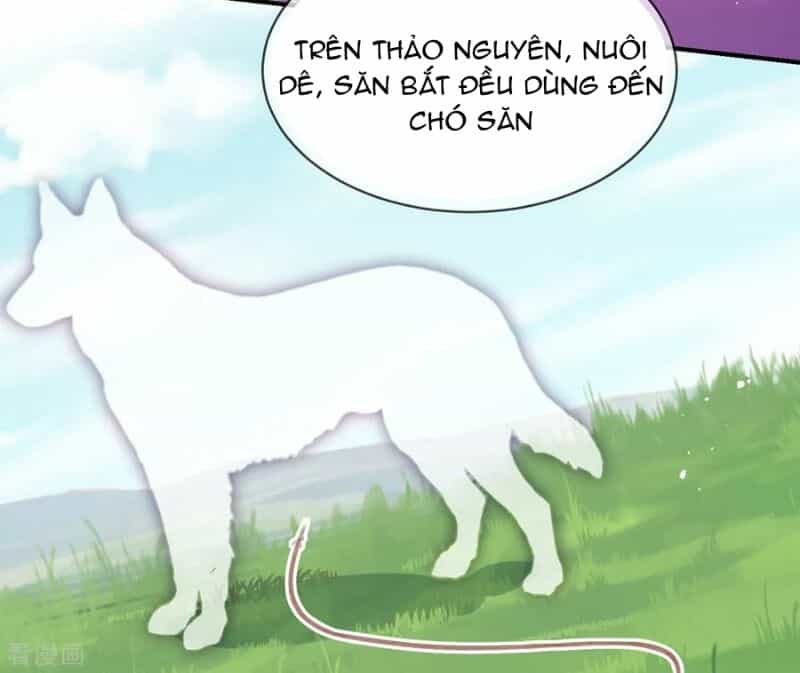 Thị Huyết Y Phi - Chương 36 - ảnh 31