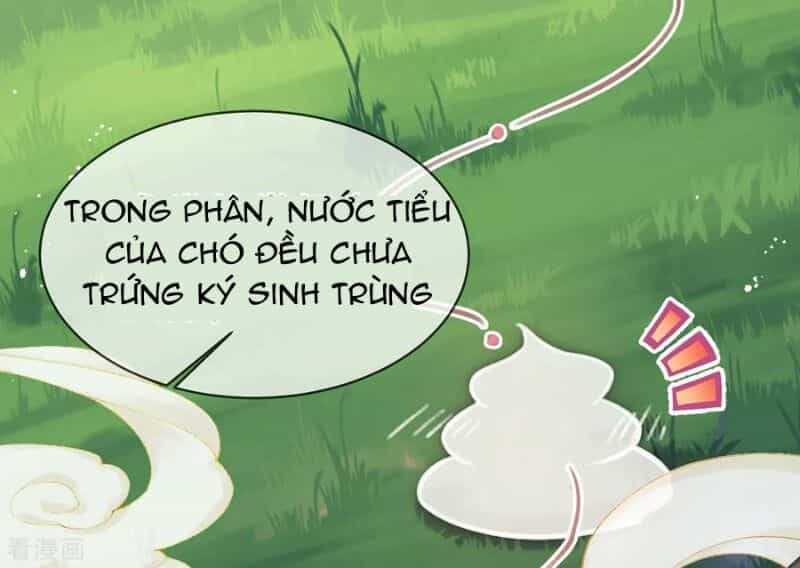 Thị Huyết Y Phi - Chương 36 - ảnh 32