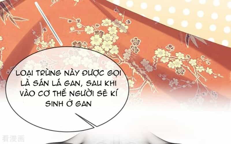 Thị Huyết Y Phi - Chương 36 - ảnh 34