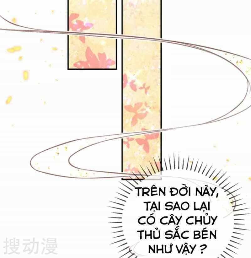 Thị Huyết Y Phi - Chương 38.5 - ảnh 7