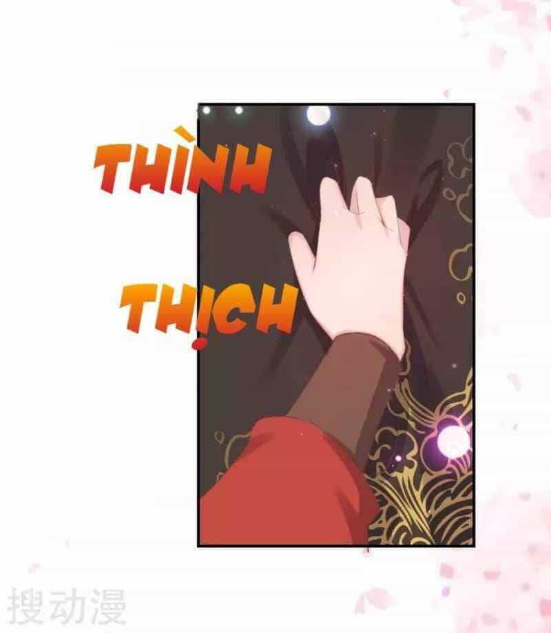 Thị Huyết Y Phi - Chương 39 - ảnh 16